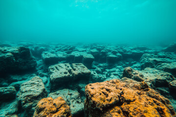 Obraz premium Underwater landscape with rocky seabed covered in algae, clear blue ocean water with soft light filtering through, deep sea exploration and marine ecosystem scenery