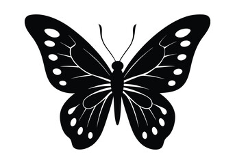 a silhouette butterfly  in white background