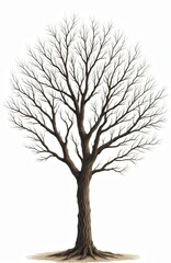 Obraz premium Illustration of leafless tree with detailed trunk, branches on transparent background. Tree art for winter season design. Isolated tree element for architectural visualization, montage. Use plant for