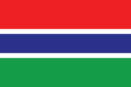 Nationall flag of Gambia. Vector illustration
