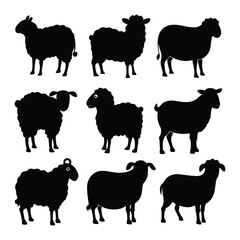 Fototapeta premium set of 9 different types Sheep icons silhouette vector illustration