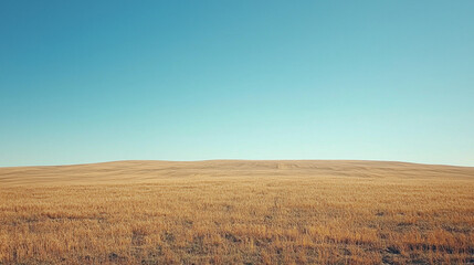 Fototapeta premium Expansive sugar beet fields under a bright blue sky with fluffy clouds and lush green grass in the foreground