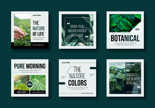 Minimalist Botanical Social Media Templates Green Aesthetic Design