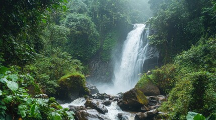 Serene Waterfall in Lush Tropical Rainforest
