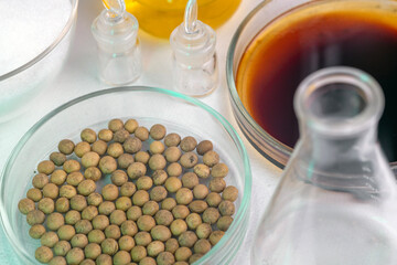 Soybean seed analysis in laboratory conditions. Tests for GMO content, nitrates and seed...