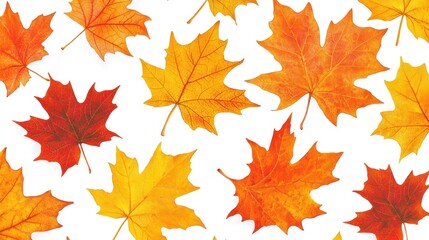 Autumn Maple Leaves Collection: A vibrant display of fall foliage in rich orange and red hues, perfect for seasonal designs and decorations.