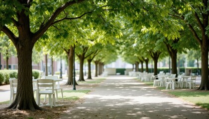 Fototapeta premium Charming outdoor dining area surrounded by lush trees urban park photography daylight serene atmosphere