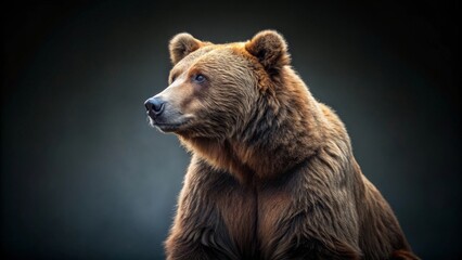 Obraz premium A Majestic Brown Bear Gazing Pensively into the Distance, a Powerful Symbol of Untamed Wilderness and Untapped Strength, Its Rich Fur Reflecting Subtle Light