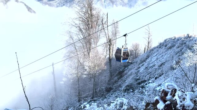 A cable car glides over a snow-covered forested slope in Gabala, Azerbaijan, amidst misty winter scenery