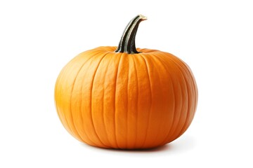 Obraz premium Butternut squash pumpkin isolated on white or white background.