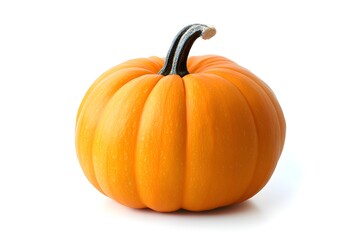 Obraz premium Butternut squash pumpkin isolated on white or white background.