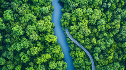 Aerial view of lush green forest with winding river and road