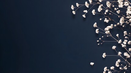 Delicate white flowers cascading across a dark blue background image