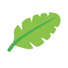 green leaf isolated on white