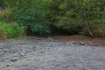 See, Bergsee Güntersberge Harz Selketal Wassermangel ausgetrocknet