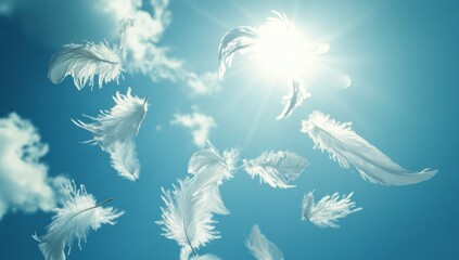 Floating feathers in a bright sky