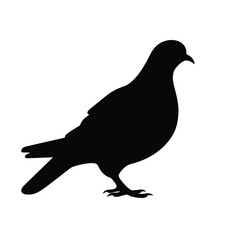 simple silhouette of a pigeon