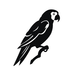 Obraz premium black silhouette of a parrot