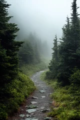 Gardinen Serene misty pathway through dense evergreen forest with fog enveloping the landscape © musa