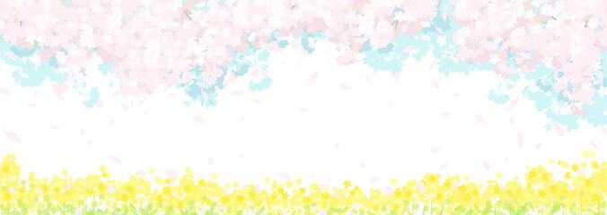Fototapeta premium 桜と春の空 菜の花畑
