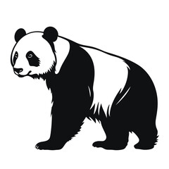 Fototapeta premium black silhouette of a panda