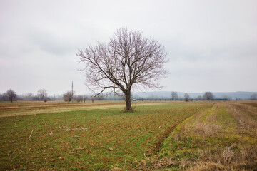 Landscapes of the Serbian countryside during winter