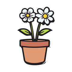 Fototapeta premium Two white daisies in a terracotta pot
