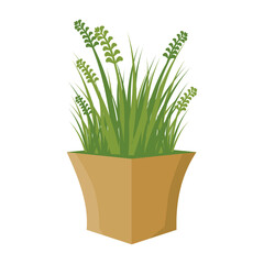 green grass in a pot
