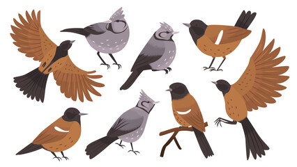 Set of 8 adorable imaginary birds in different poses and in flight. Wildlife. Cute songbird. Protection of endangered species. Clipart elements for creating ornaments and patterns. Vector illustration