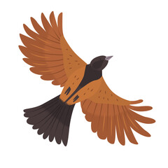 Fototapeta premium Fictional red bird in flight with spread wings. Bottom view. Wildlife. Cute songbird. Endangered species protection. Clipart elements for creating ornaments and patterns. Vector illustration.