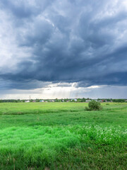Field of grass with a storm in the distance
