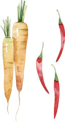 vegetables on a white background