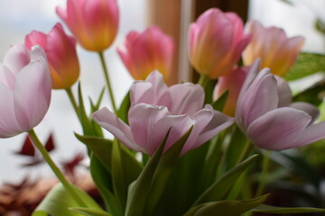 White Snowdrops and Pink Tulips Bouquet, International Women's Day Celebration