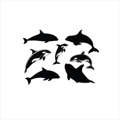 Fototapeta premium Elegant Dolphin and Killer Whale Silhouette Set for Ocean Lovers