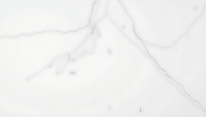 Obraz premium white snow covered with snow