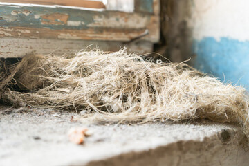 A tangled mass of fibrous material rests on a dusty windowsill in an old, abandoned building. The peeling paint, cracked surfaces, and rough textures add to the sense of decay and time passing. 