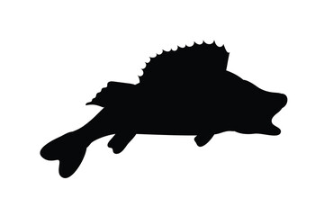 Fish icon vector isolated on white background.