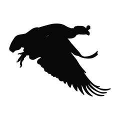 silhouette of a vulture