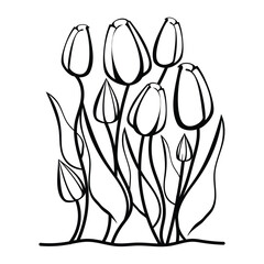 tulip flower vector
