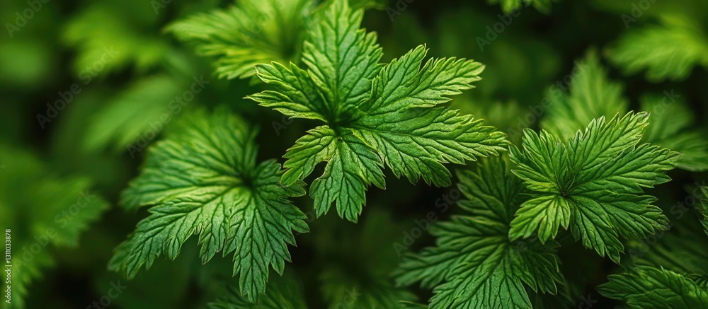 Fototapete close up of vibrant green leaves with intricate textures and varying shades under soft light, creati