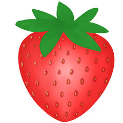 strawberry illustration