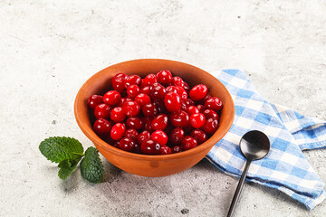 Red sweet ripe juicy cranberry