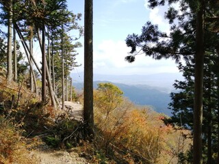 This is Mount Atago in Kyoto, Japan. At the top is Atago Shrine, where the god of fire is enshrined.