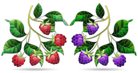 A set of illustrations in the style of stained glass with raspberry branches isolated on a white background