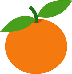 orange fruit vector illustration