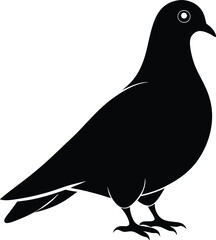 Pigeon Bird Silhouette Vector Illustration, Best Pigeon Icon