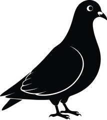 Pigeon Bird Silhouette Vector Illustration, Best Pigeon Icon