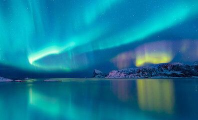 Northern lights or Aurora borealis in the sky - Tromso, Norway