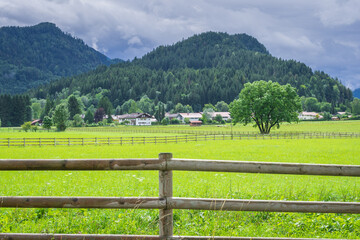 Scenic Meadow in Hohenschwangau, Germany