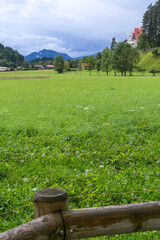 Scenic Meadow in Hohenschwangau, Germany
